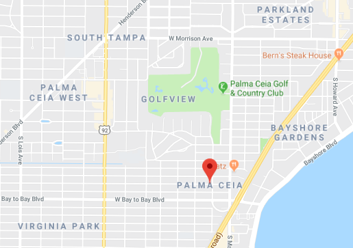 Palma Ceia Computer Repair near me tampa map